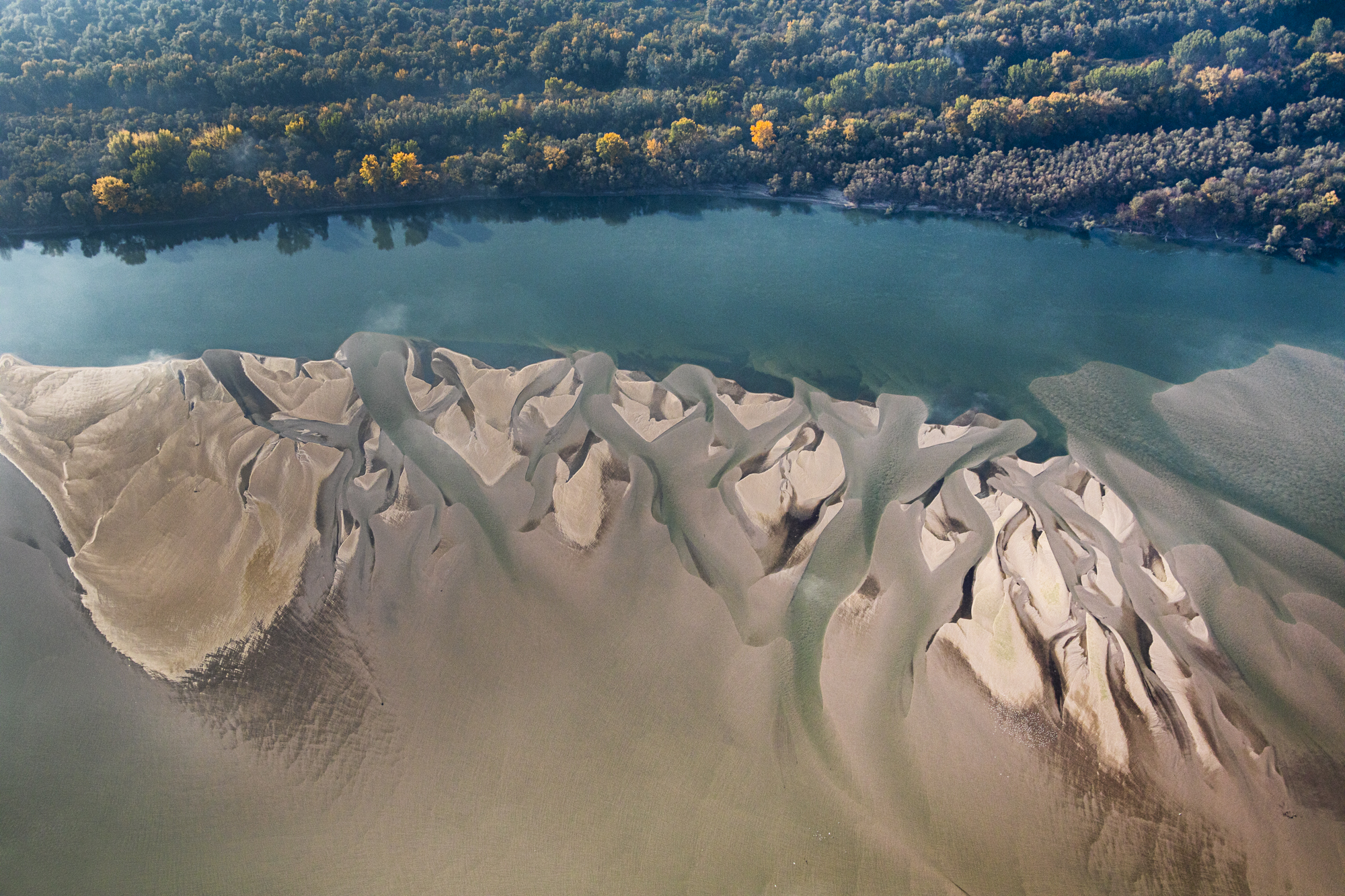 A boat travels along water in a jungle setting in Brazil