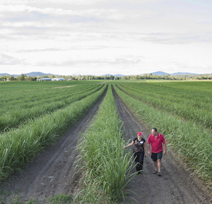 Sustainable Agriculture